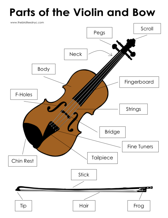 Parts of the Violin and Bow